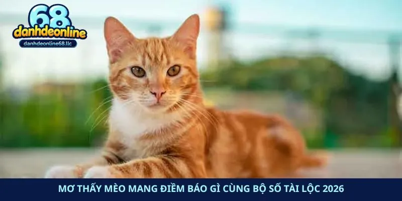 Mơ Thấy Mèo Mang Điềm Báo Gì Cùng Bộ Số Tài Lộc 2026