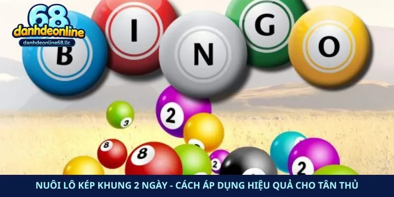 Nuôi Lô Kép Khung 2 Ngày – Cách Áp Dụng Hiệu Quả Cho Tân Thủ